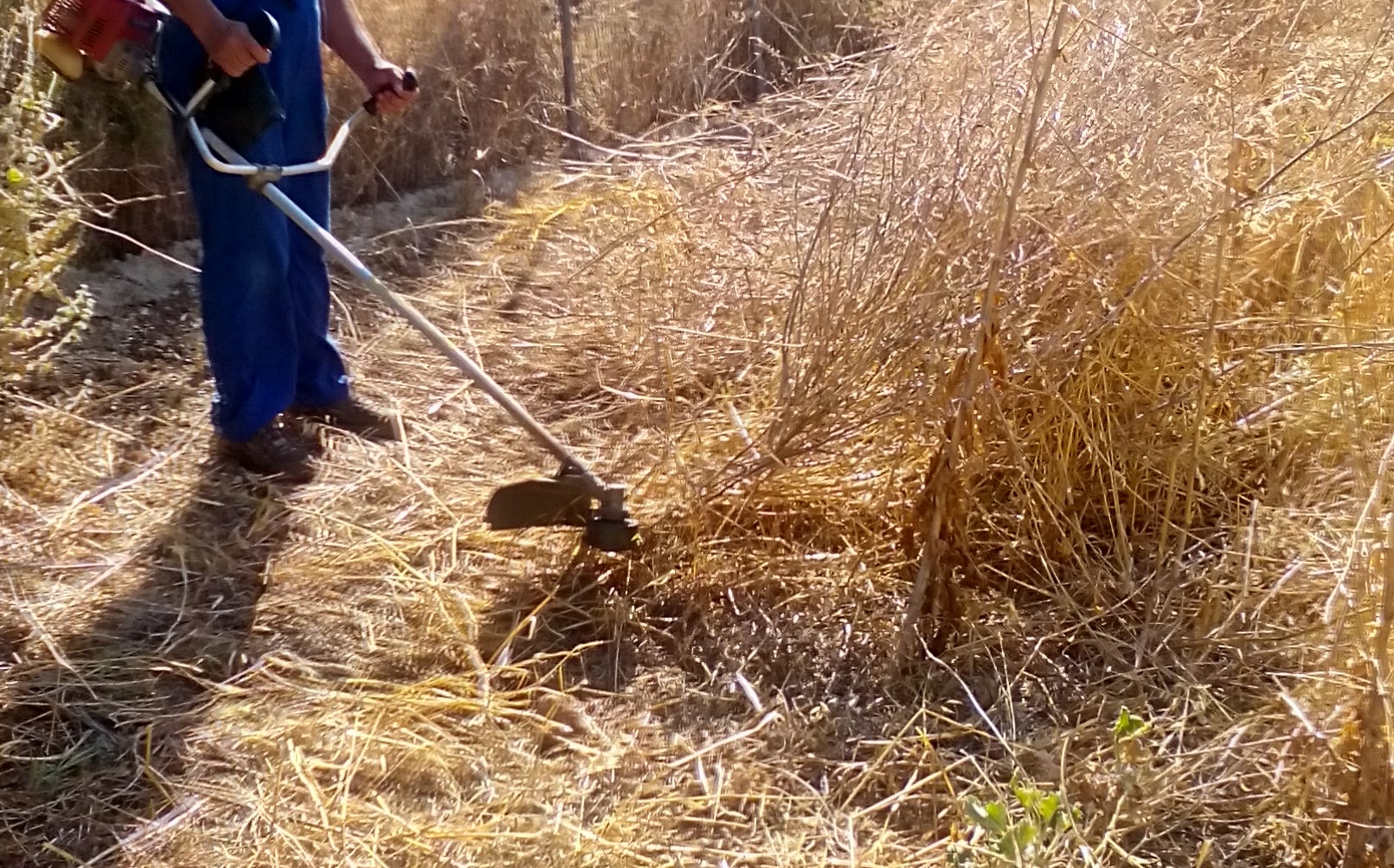 Καθαρισμός Οικοπέδων