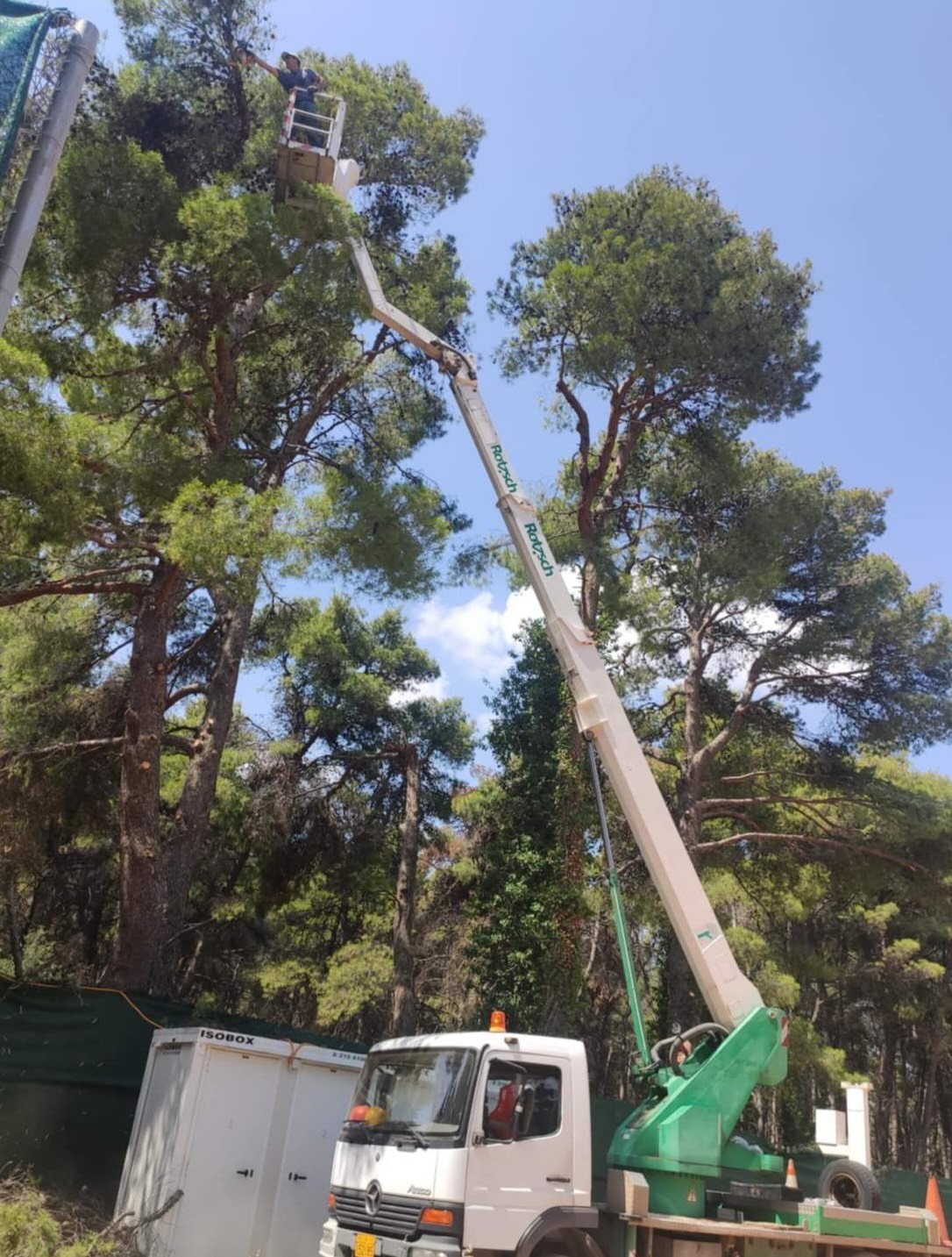 Εργασία κοπής δέντρων
